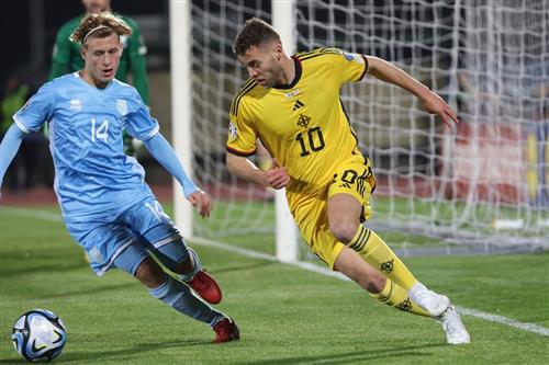 Whale Betting: Strategies for High-Stakes Wagering